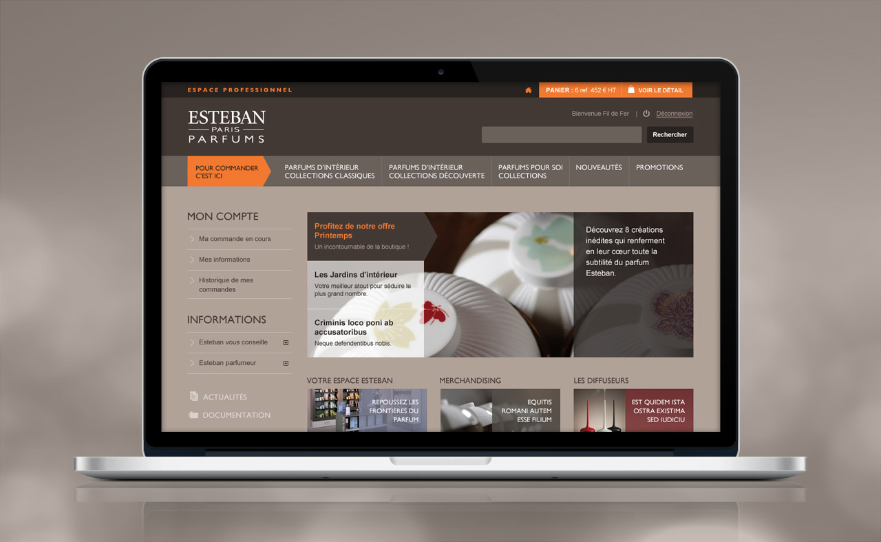 esteban-professionnel-site-internet-accueil-creation-communication-caconcept-alexis-cretin-graphiste