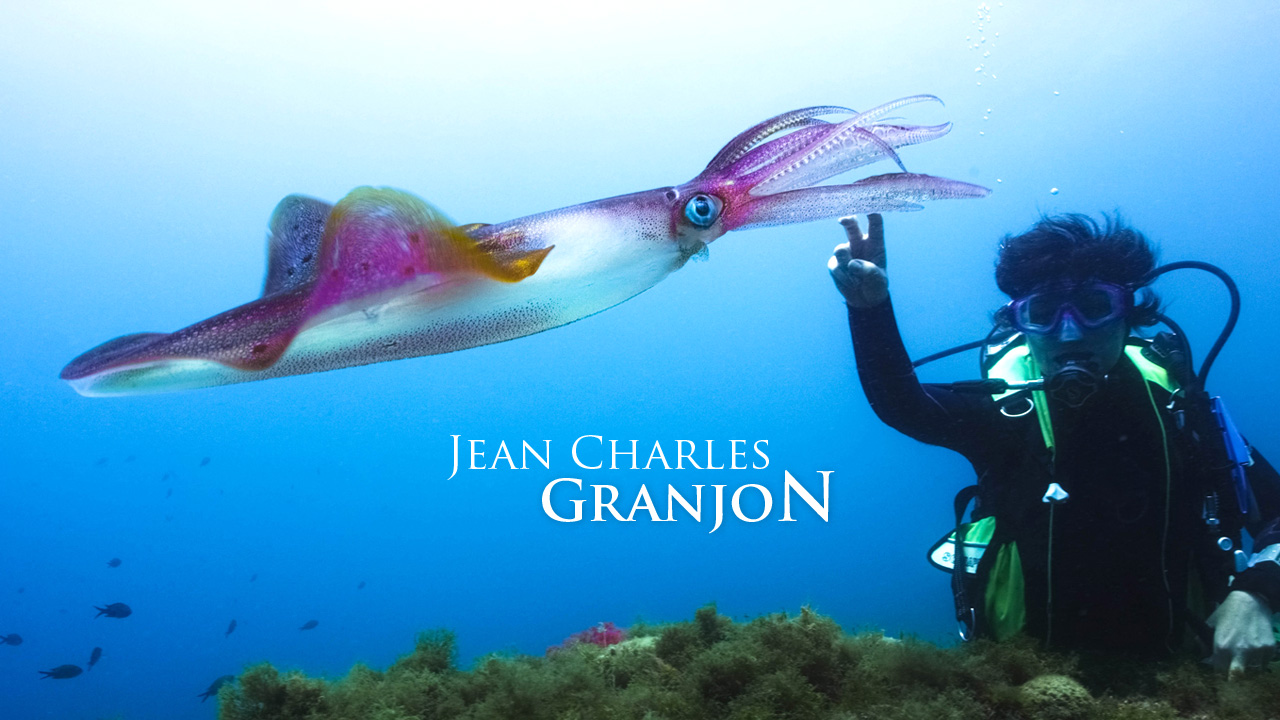 granjon-realisation-creation-site-web-caconcept-alexis-cretin-graphiste