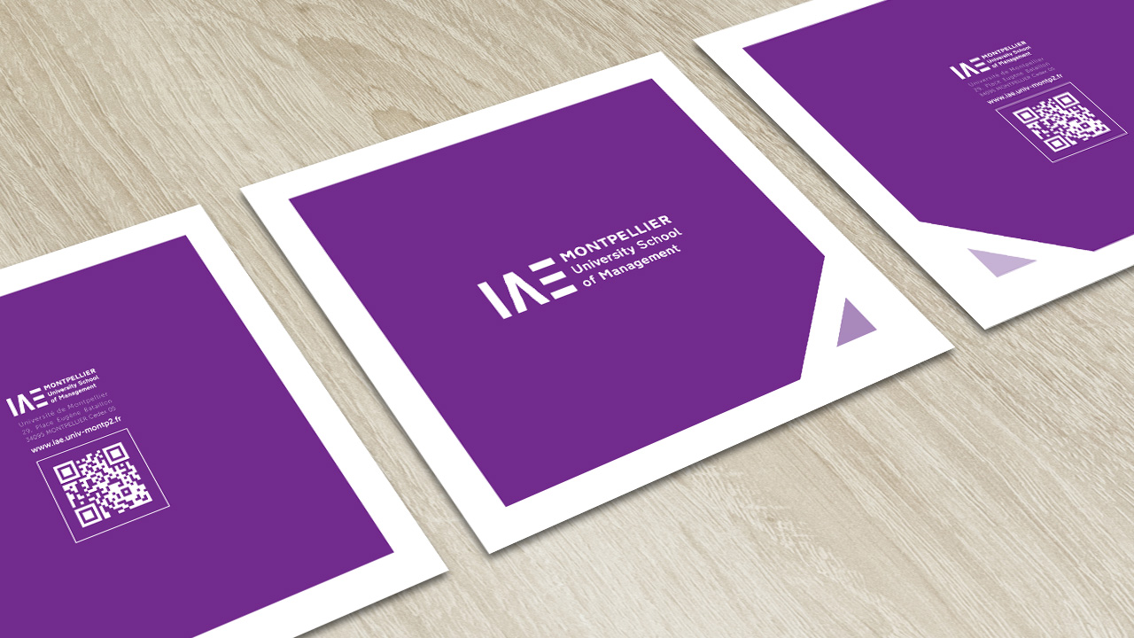 iae-montpellier-creation-brochure-communication-caconcept-alexis-cretin-graphiste-1