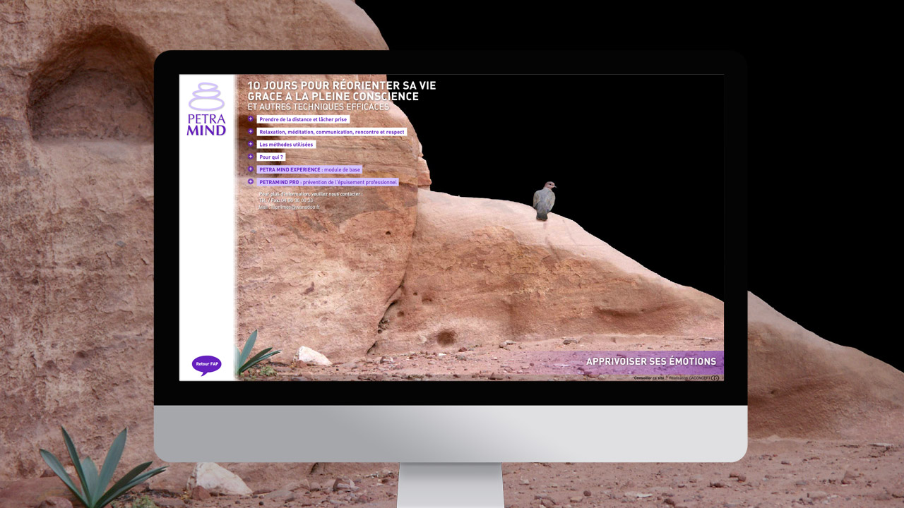 petramind-creation-site-internet-communication-caconcept-alexis-cretin-graphiste-montpellier-5