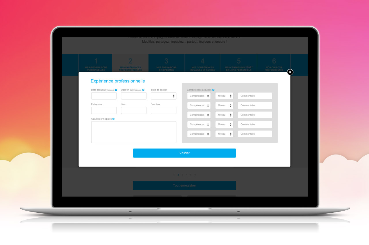 projepro-creation-cv-numerique-redaction-formulaire-2-caconcept-alexis-cretin-graphiste