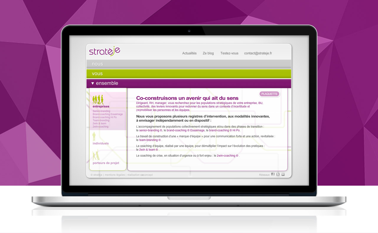 strateje-creation-site-internet-communication-caconcept-alexis-cretin-graphiste-montpellier-7