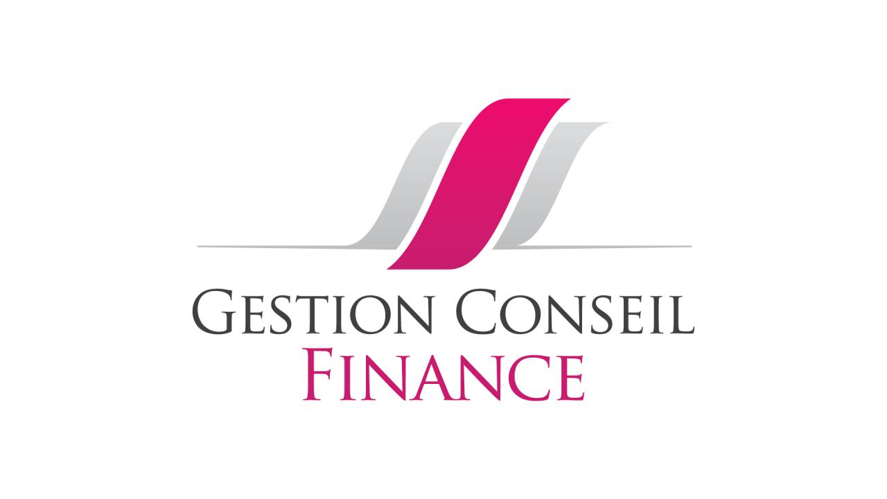 creation-logo-gestion-conseil-finance-graphiste-montpellier-caconcept-alexis-cretin