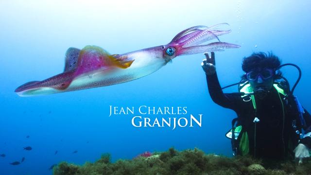 granjon-realisation-creation-site-web-caconcept-alexis-cretin-graphiste